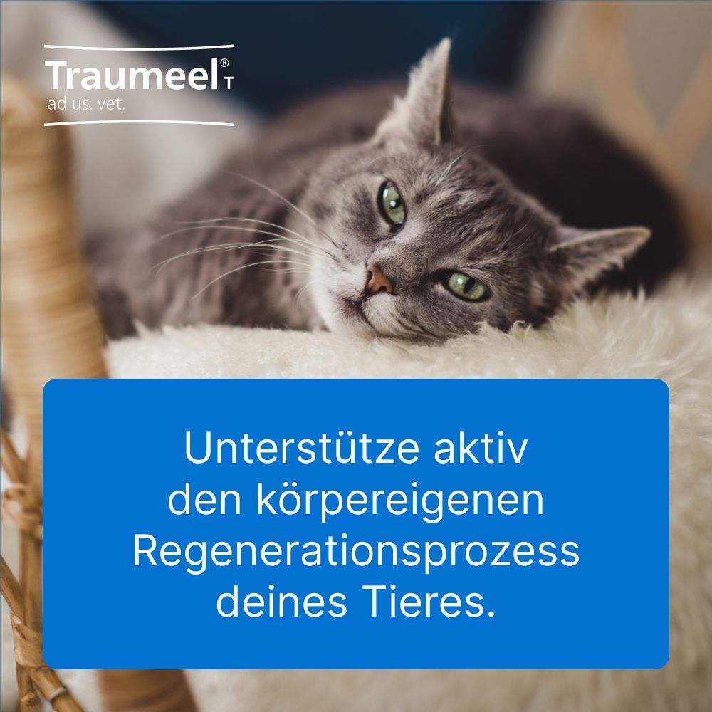 Traumeel® T ad us. Vet