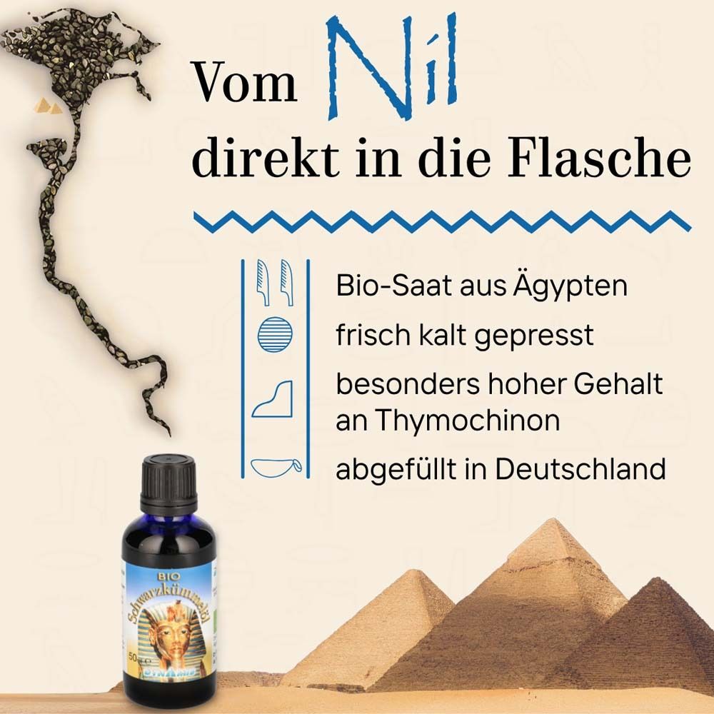 Werbebild mit Flasche BIO-Schwarzkümmelöl, Pyramiden und Text: Vom Nil direkt in die Flasche. Bio-Saat aus Ägypten.