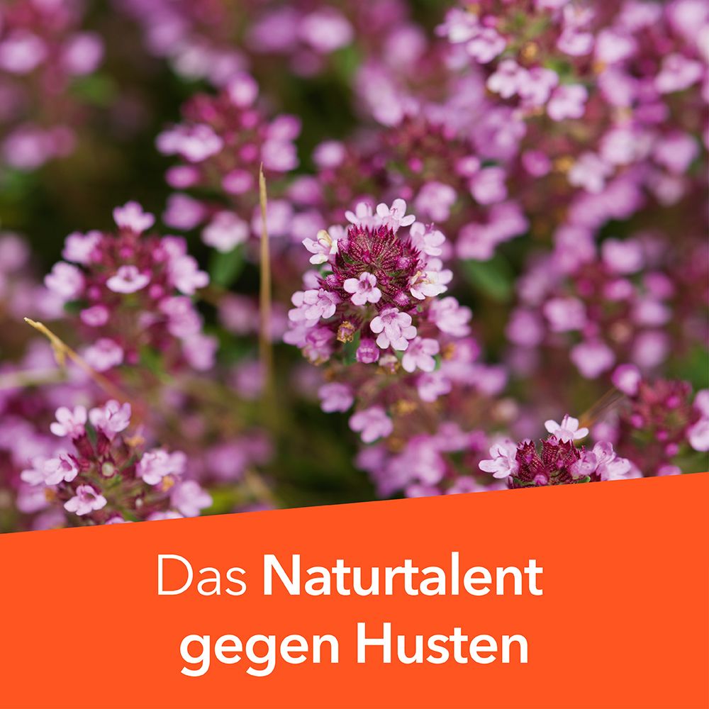 Nahaufnahme von Thymianblüten. Text: Das Naturtalent gegen Husten.