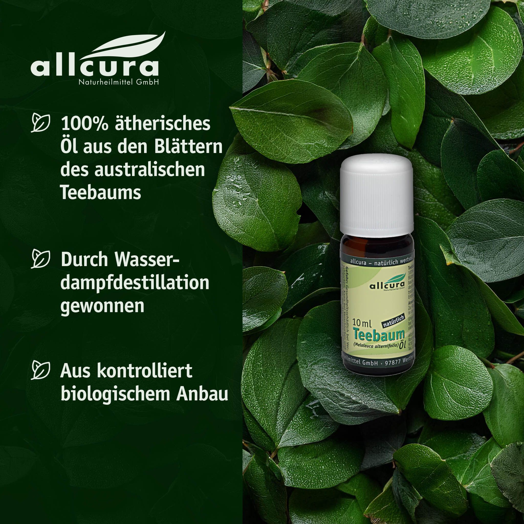 Glasflasche mit weißem Deckel, umgeben von grünen Blättern. Text: 100% ätherisches Öl, durch Wasserdampfdestillation gewonnen.