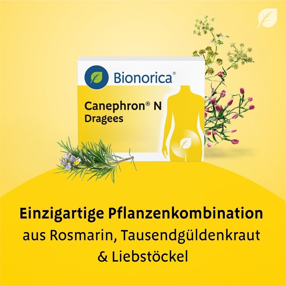 Canephron® N Packung mit Kräutern (Rosmarin, Tausendgüldenkraut, Liebstöckel). Text: 'Einzigartige Pflanzenkombination aus Rosmarin, Tausendgüldenkraut & Liebstöckel.'