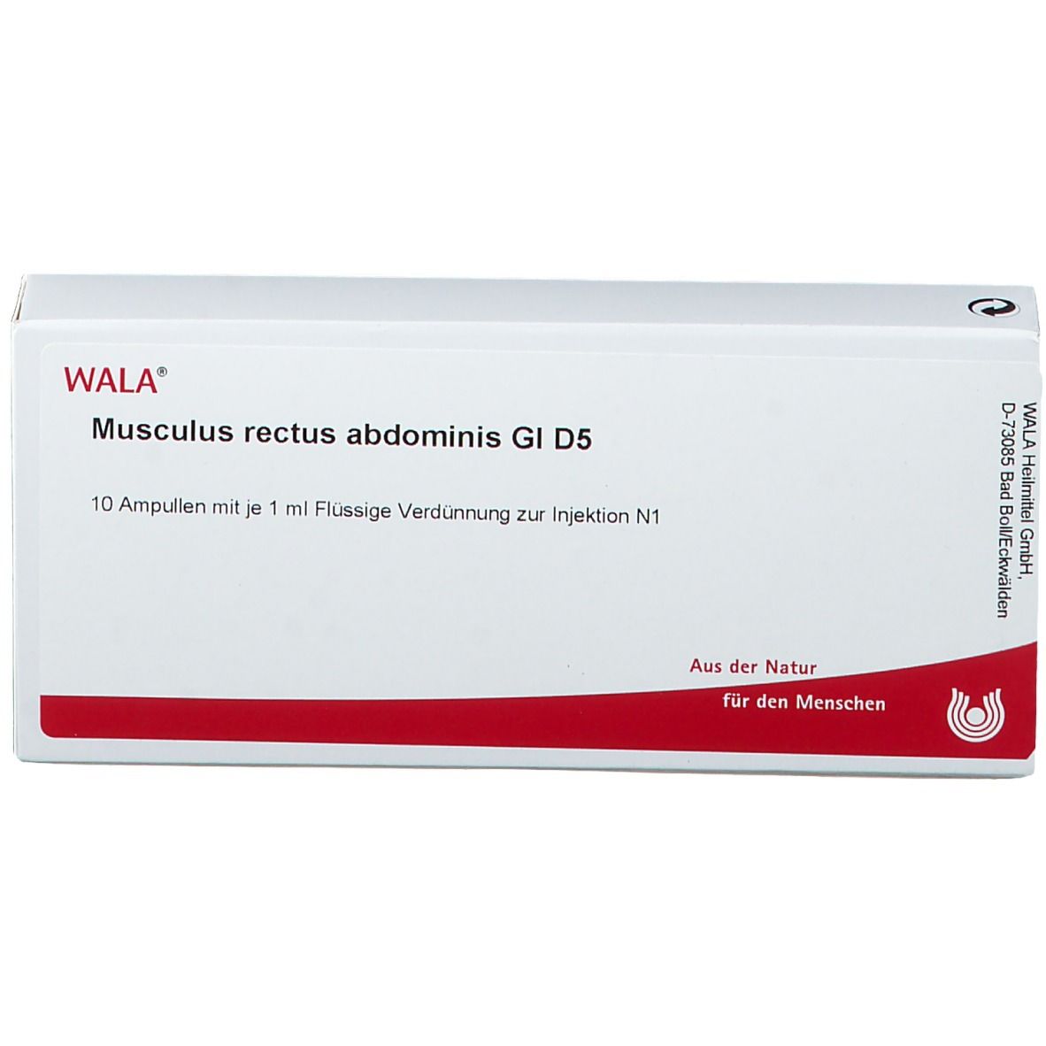 WALA® Musculus rectus abdominis Gl D 5