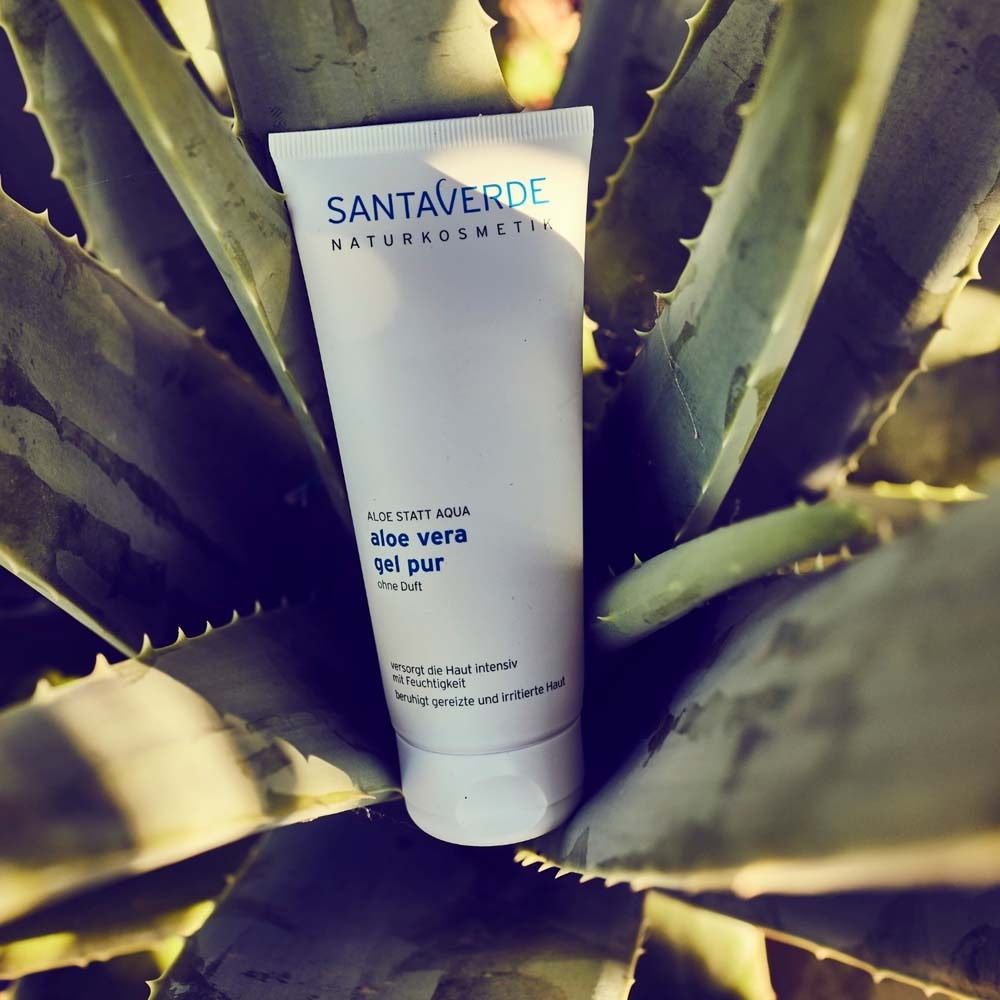 Weiße Tube mit SANTAVERDE-Logo und Aufschrift Aloe vera gel pur ohne Duft, platziert auf Aloe-Pflanze.
