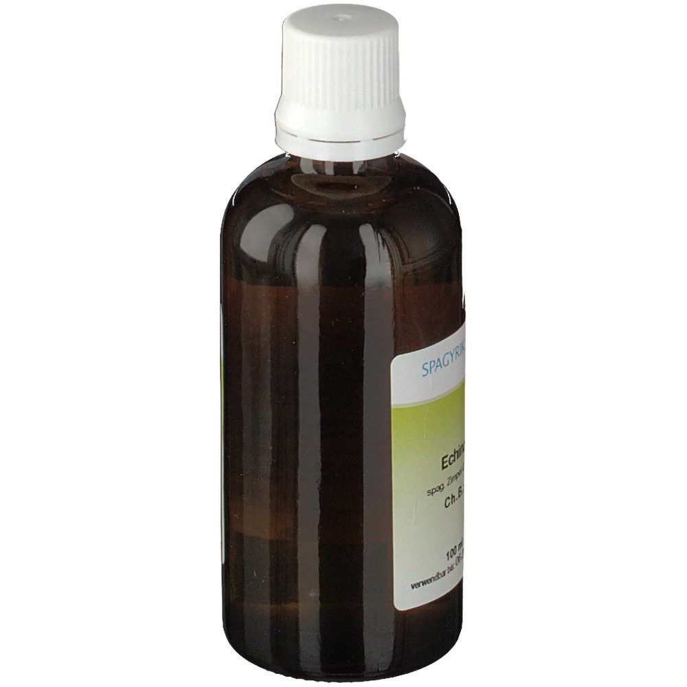 Braune Glasflasche mit weißem Verschluss. Etikett mit Produktnamen und Herstellerangaben. SPAGYRIK und PHYLAK Logo.