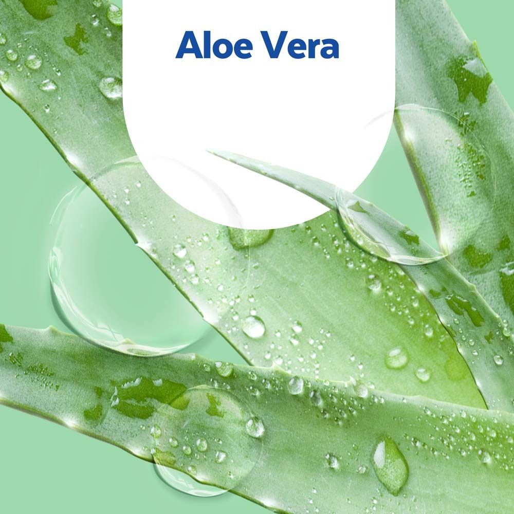 SAGROTAN® No-Touch Nachfüller Aloe Vera