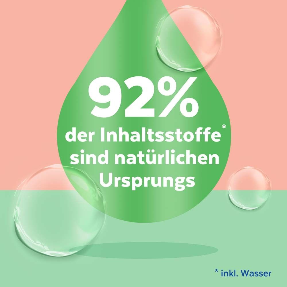 SAGROTAN® No-Touch Nachfüller Aloe Vera