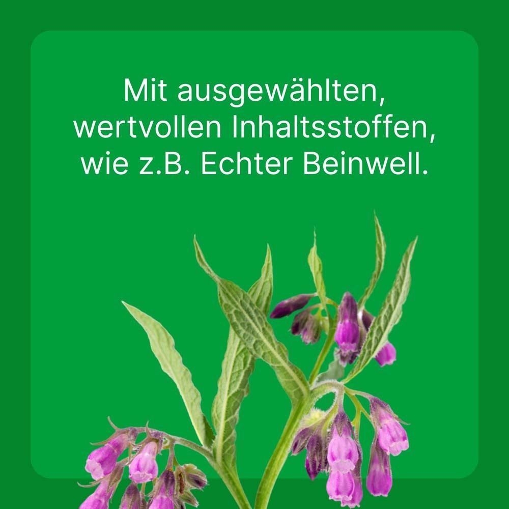 Blumen und Blätter auf grünem Hintergrund. Oben steht Zeel® ad us. vet. Auf einem grünen Feld steht Text.