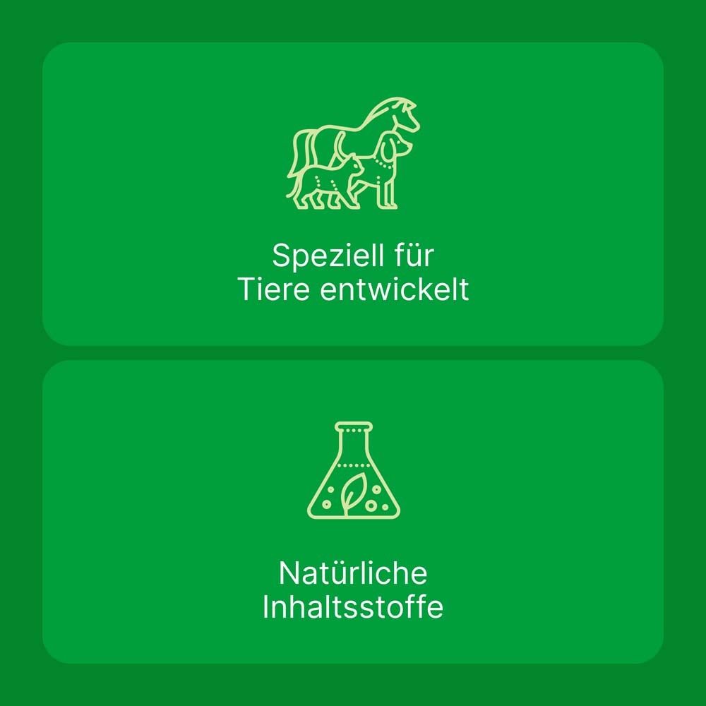 Zwei grüne Felder mit Symbolen und Text. Oben steht Zeel® ad us. vet.