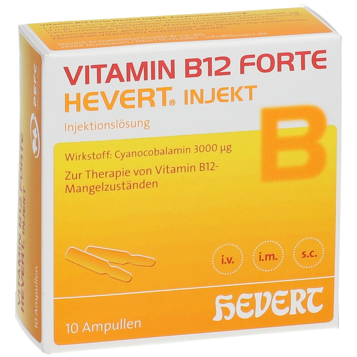 solide Het kantoor Centimeter Vitamin B 12 forte-Hevert injekt Ampullen 10x2 ml - shop-apotheke.com