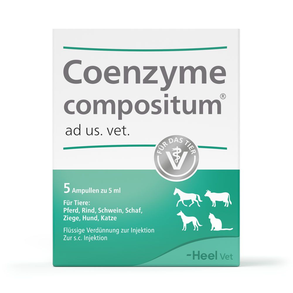 Verpackung von Coenzyme compositum ad us. vet. mit 5 Ampullen. Enthält Logos und Text für Tiergesundheit.
