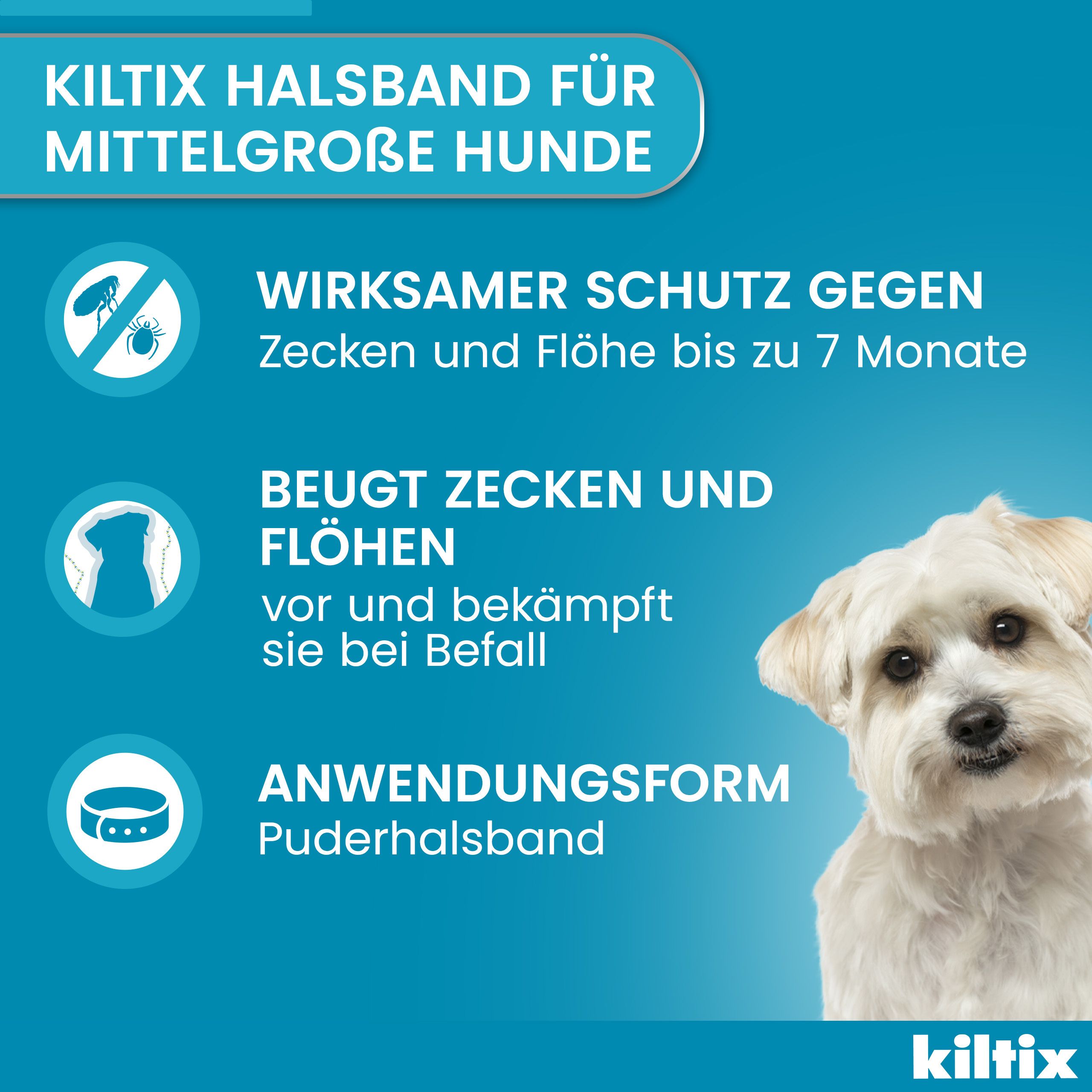 Blauer Hintergrund mit Text und Hund. Text: kiltix, Schutz gegen Zecken und Flöhe bis zu 7 Monate.