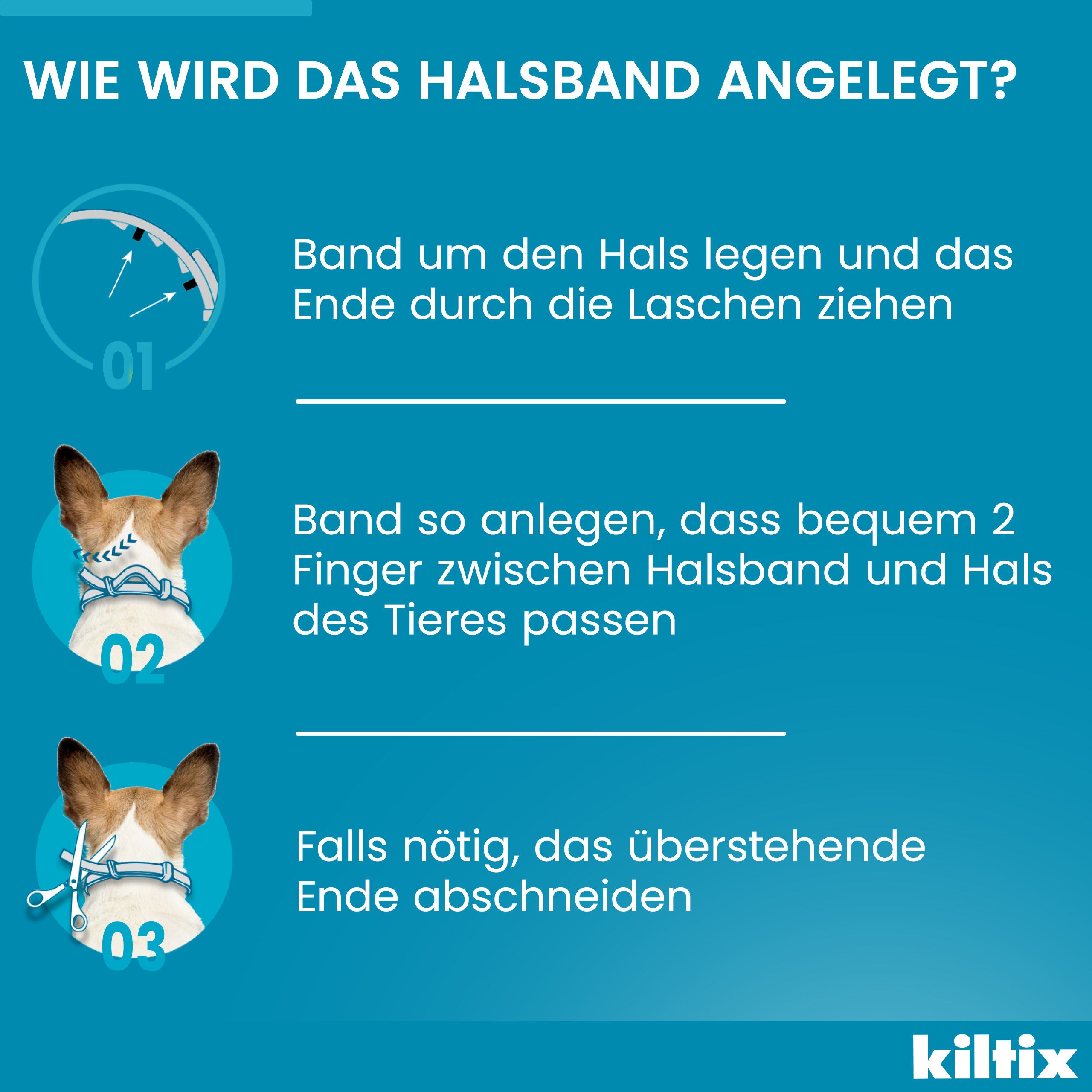 Anleitung zur Anwendung des Halsbands. Text: Band um den Hals legen, 2 Finger zwischen Halsband und Hals.