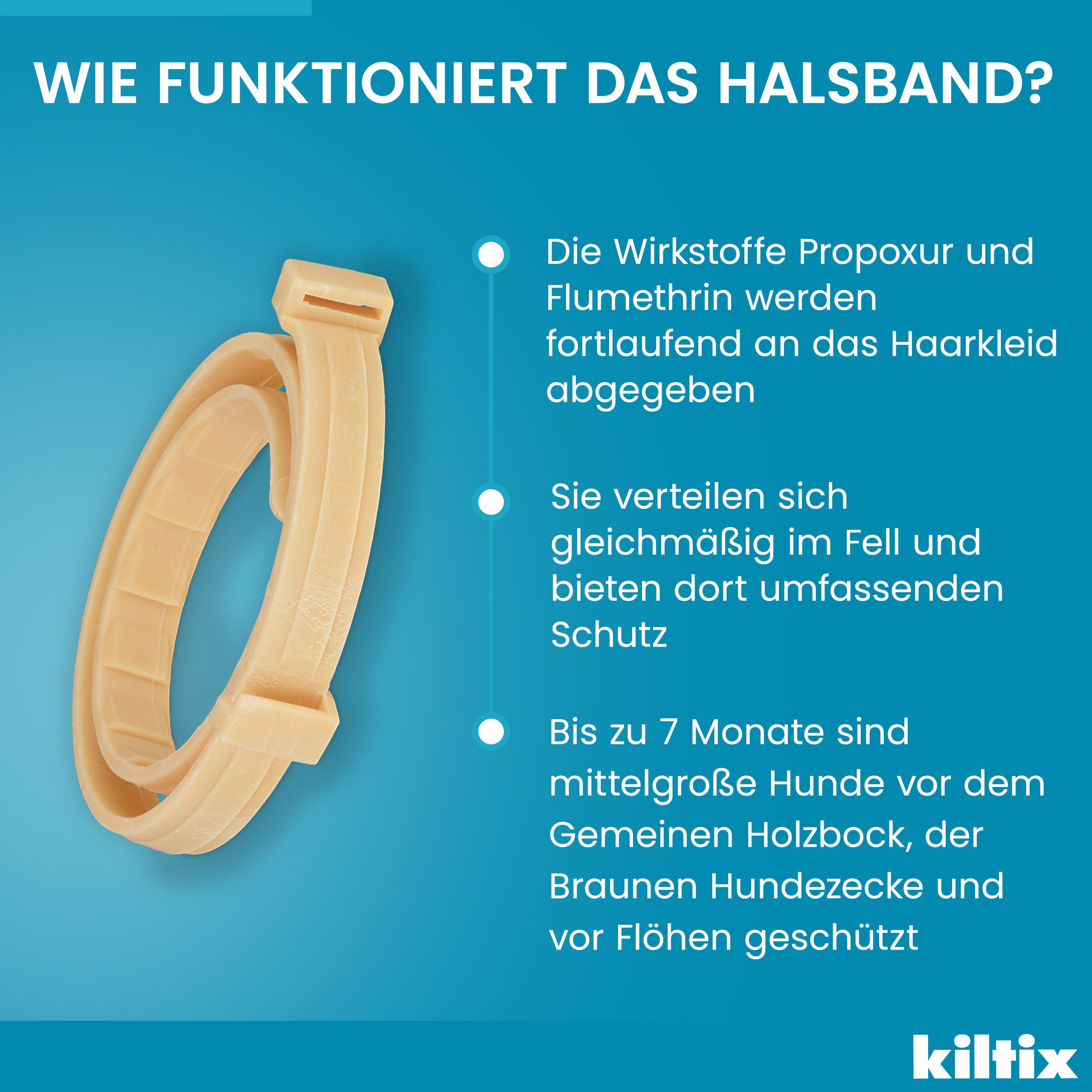 Wie das Halsband funktioniert. Text: Wirkstoffe werden abgegeben, Schutz bis zu 7 Monate.