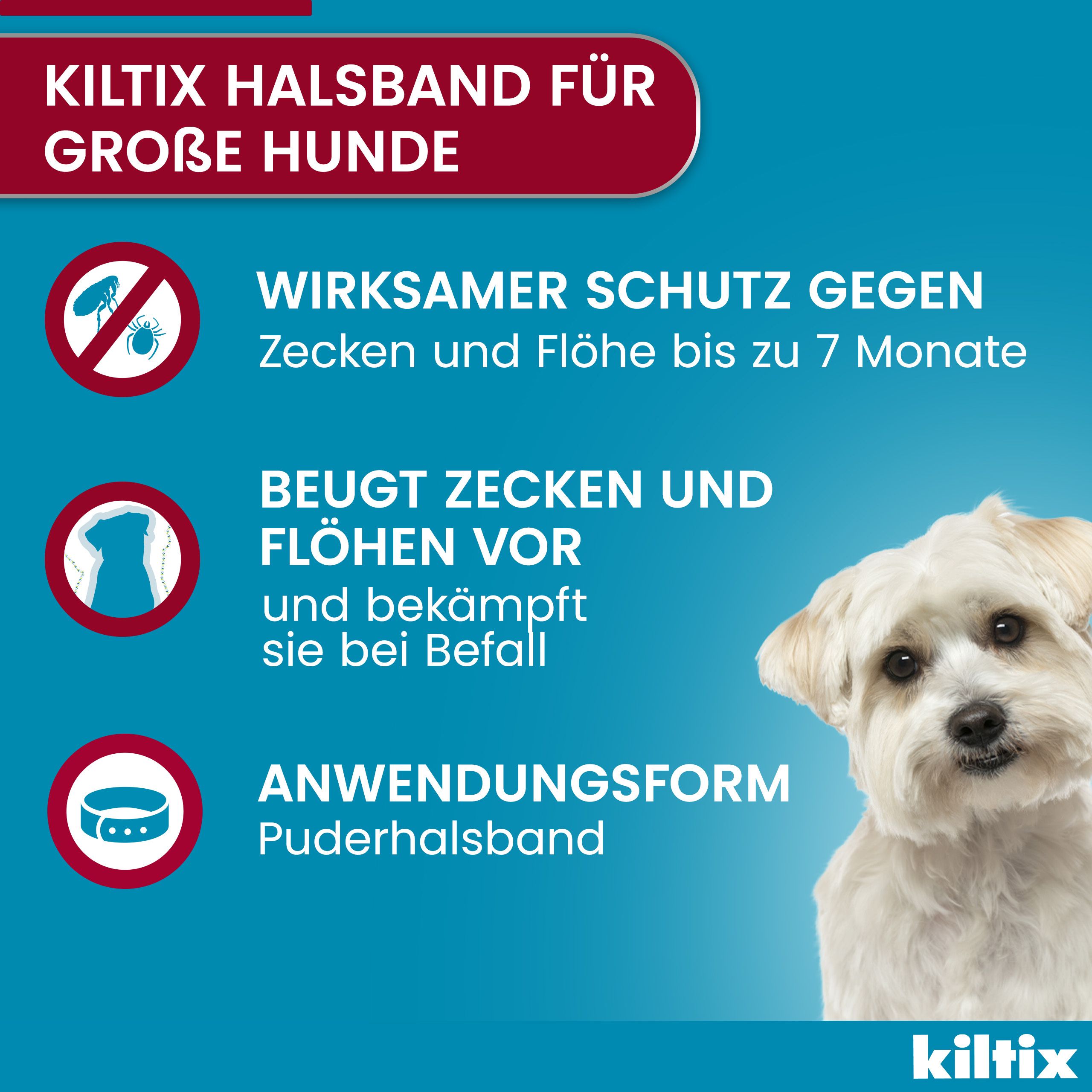 Blauer Hintergrund. Text: Kiltix Halsband für große Hunde. Wirksamer Schutz gegen Zecken und Flöhe bis zu 7 Monate.