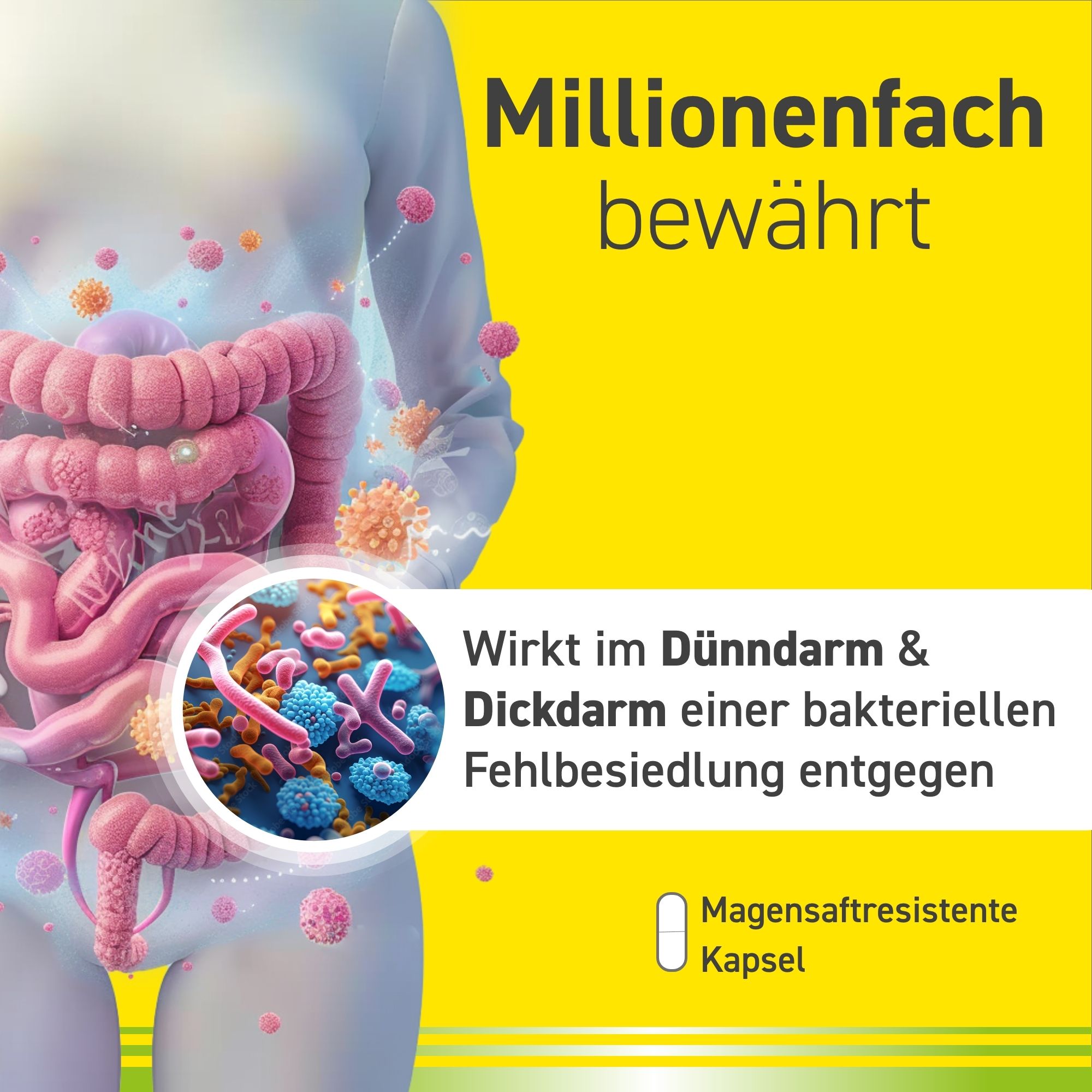 Omniflora® N – Probiotika Kapseln für die Darmflora