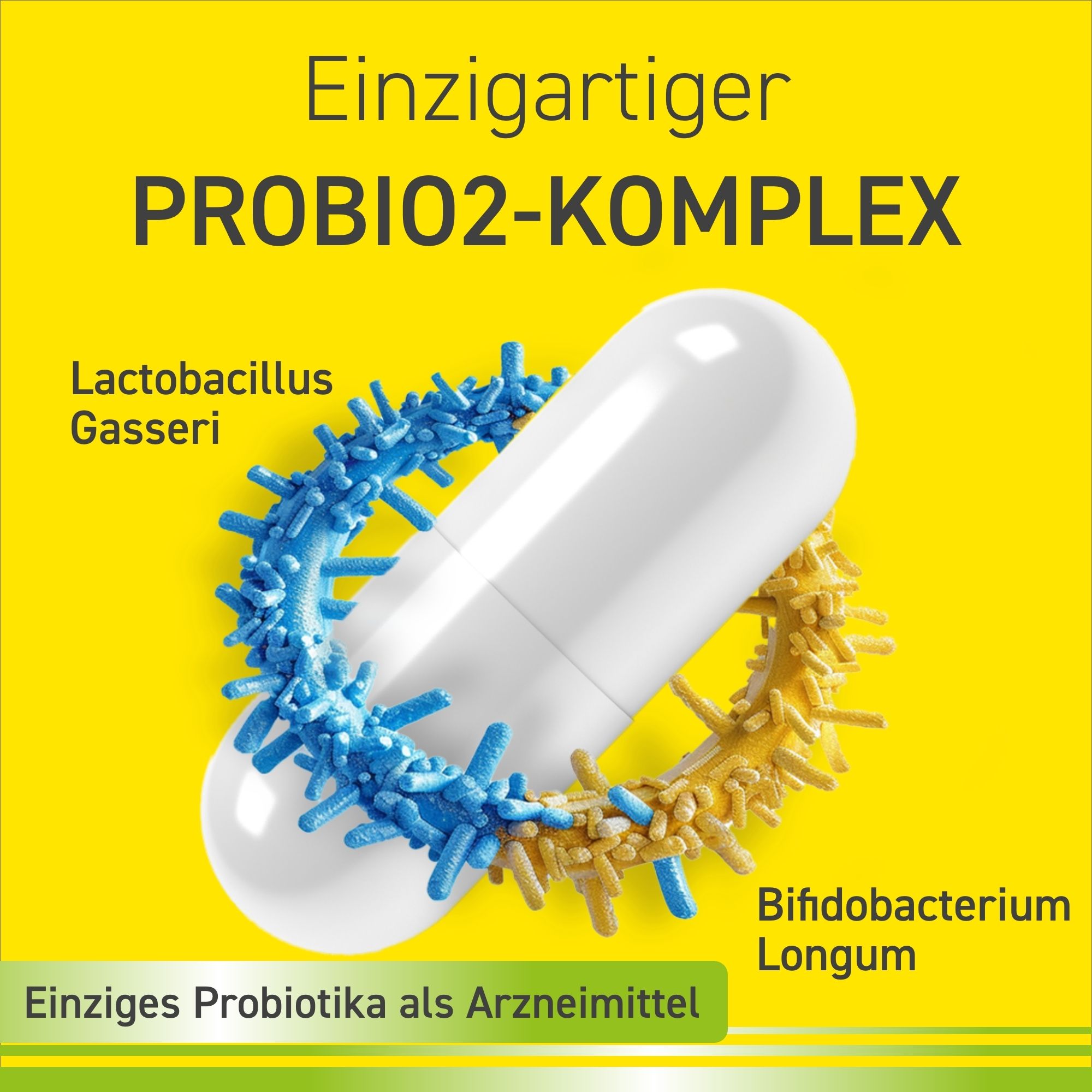 Omniflora® N – Probiotika Kapseln für die Darmflora