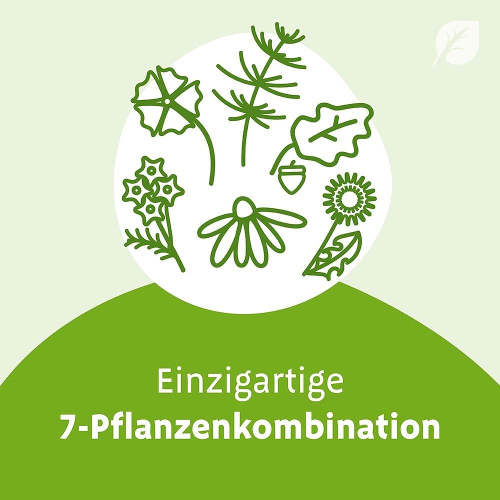 Grafik: 7 Pflanzen. Text: Einzigartige 7-Pflanzenkombination. Grüner Hintergrund.