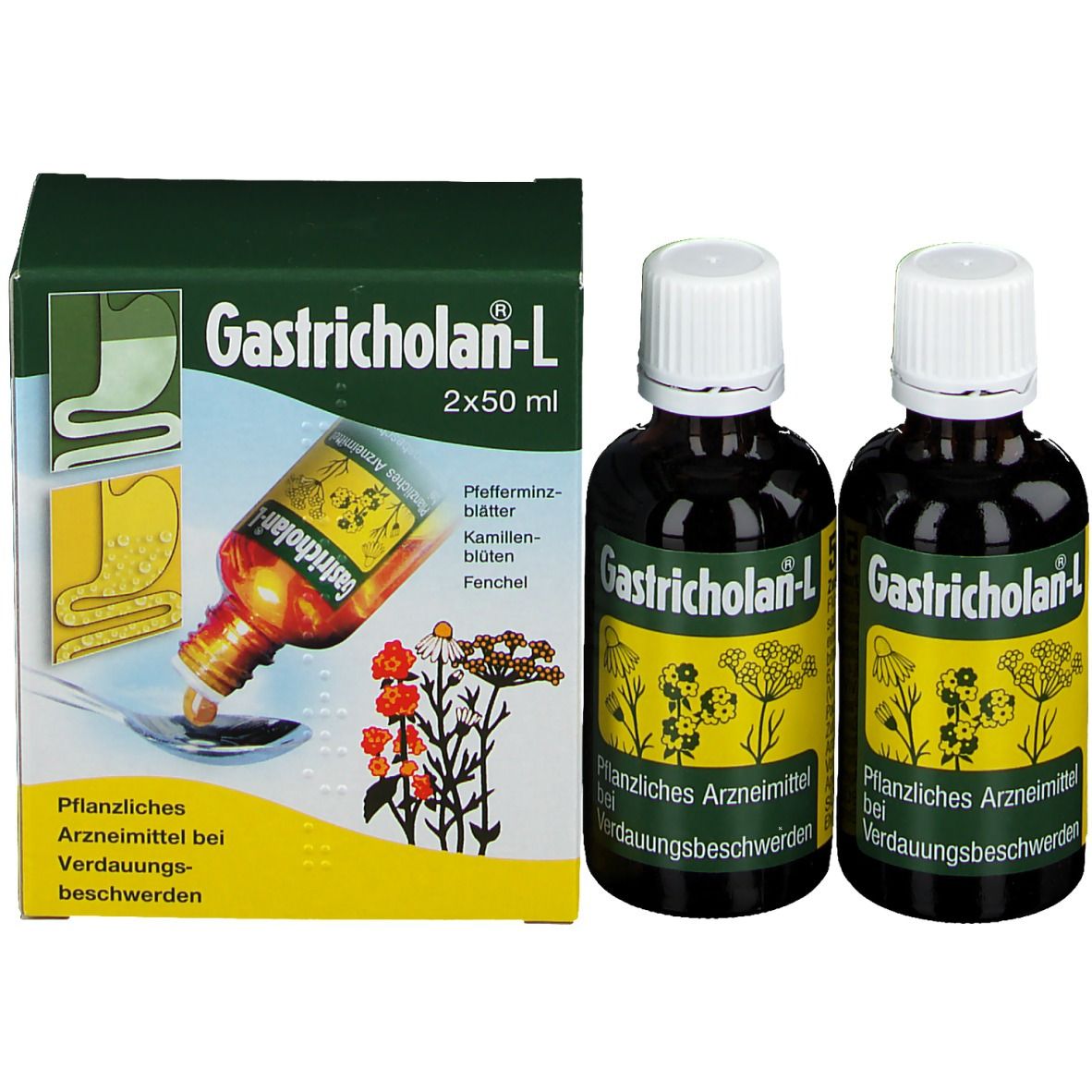 Gastricholan L flüssig