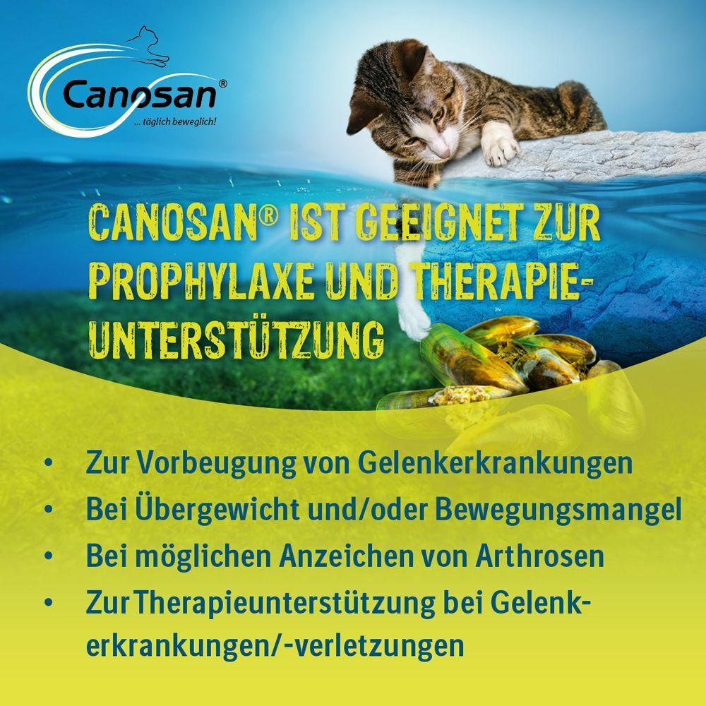 Canosan® Kautabletten bei Gelenkproblemen Katze mit Grünlippmuschel-Extrakt Gonex®