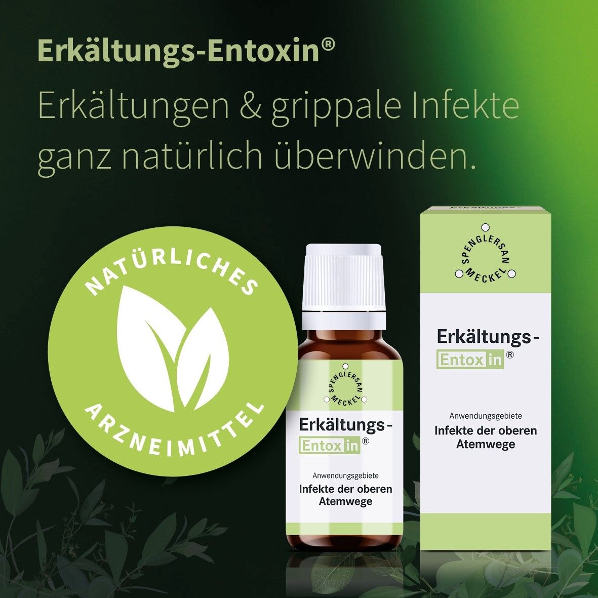 Erkältungs-Entoxin Tropfen 20 ml