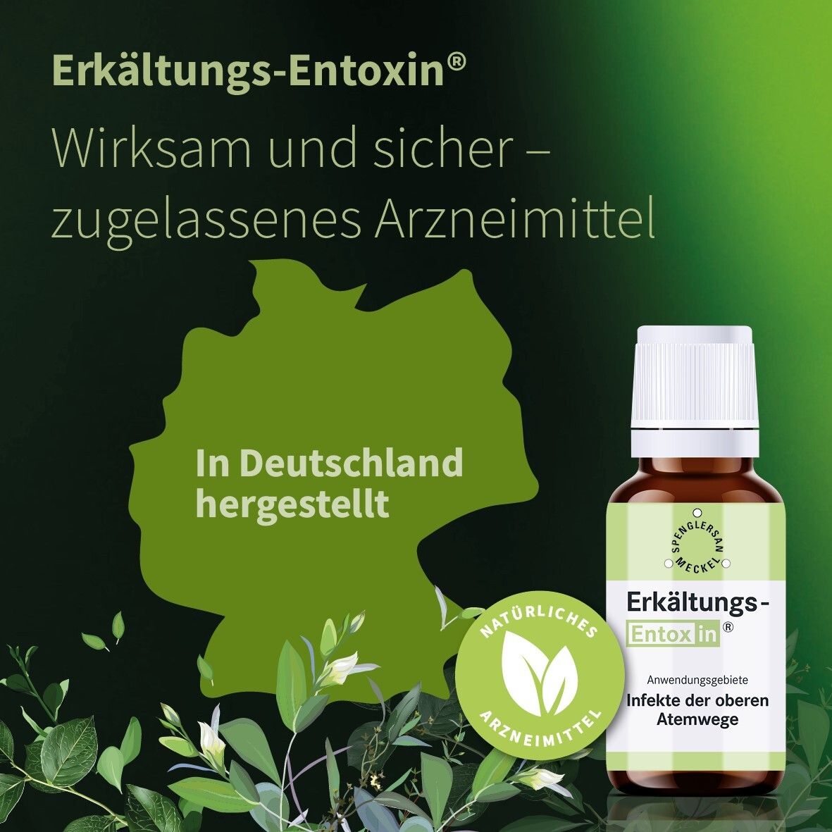 Erkältungs-Entoxin® Tropfen