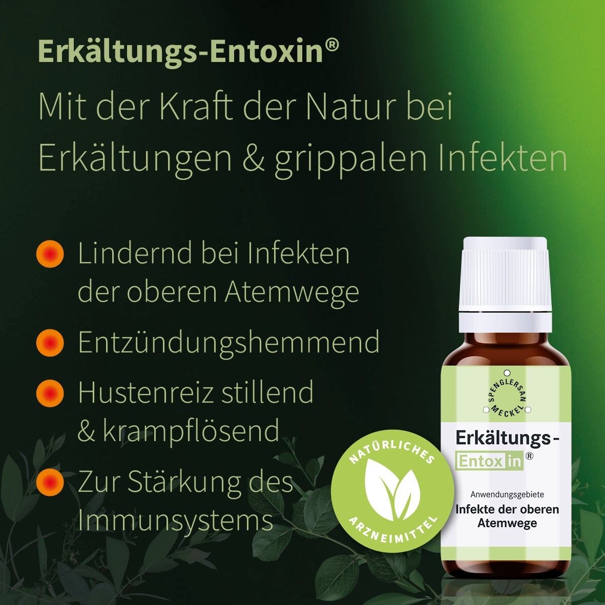 Erkältungs-Entoxin® Tropfen