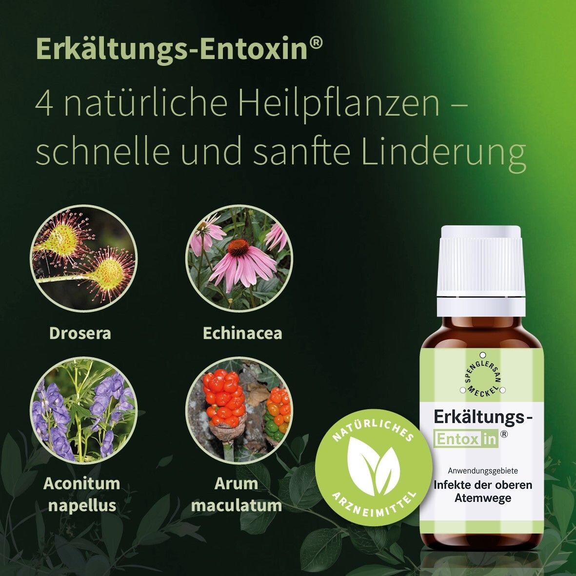 Erkältungs-Entoxin® Tropfen