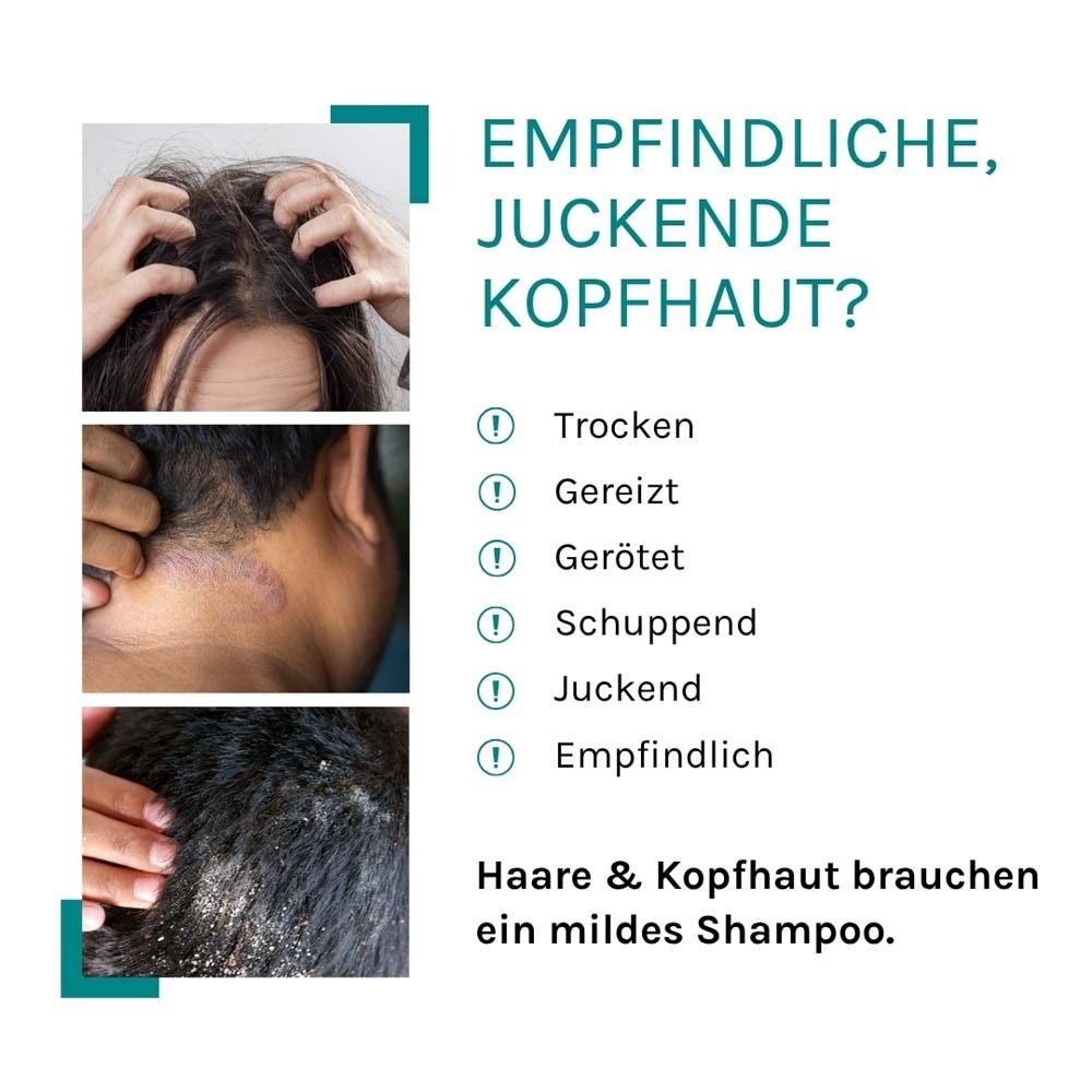 Bilder von Kopfhautproblemen. Text: Empfindliche, juckende Kopfhaut? Trocken, gereizt, gerötet, schuppend, juckend, empfindlich.