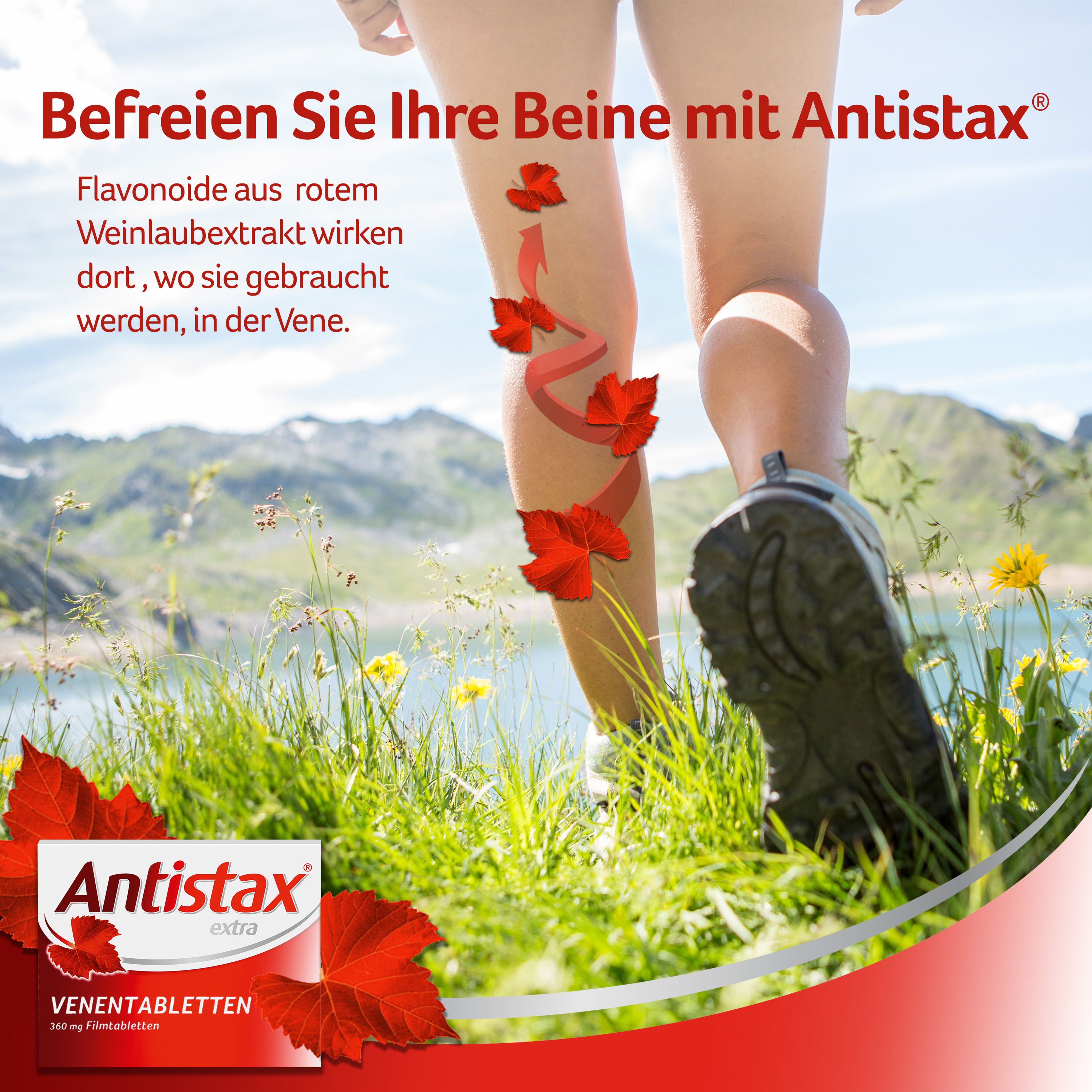 Antistax extra Venentabletten, bei Krampfadern & Besenreiser