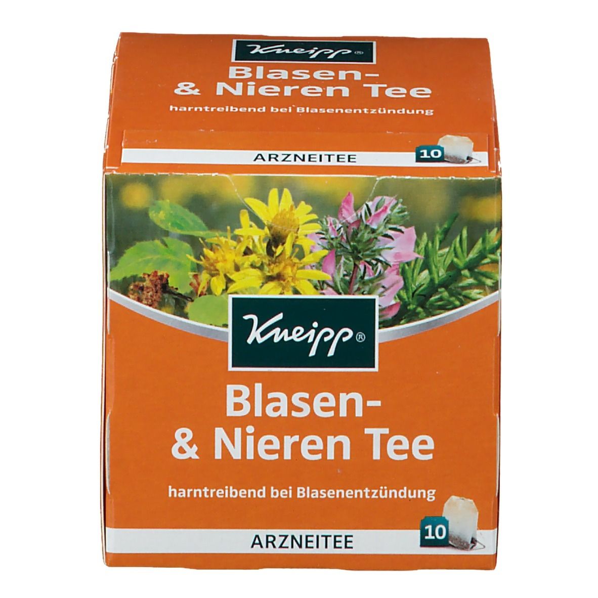 Kneipp® Blasen- & Nieren Tee