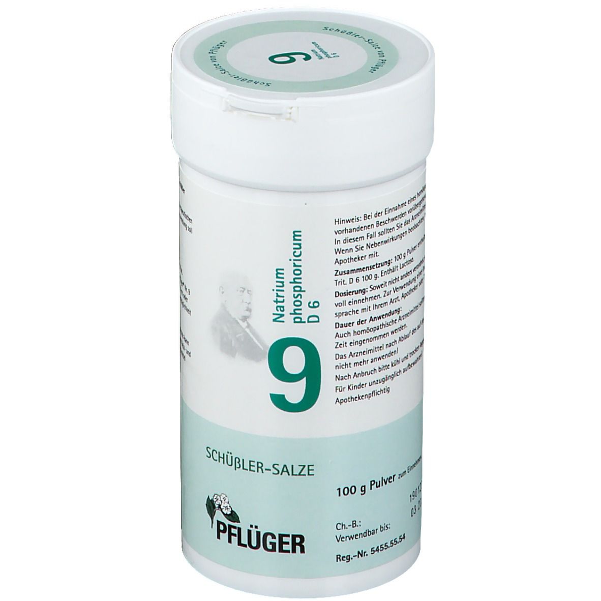 Biochemie Pflüger 9 Natrium phosphoricum D 6 Pulv. 100 g Pulver