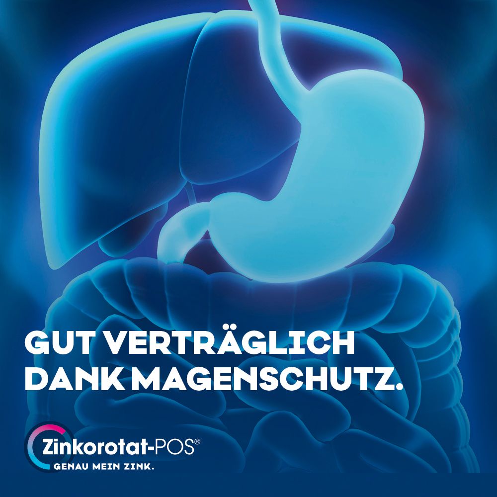 Blaues Bild mit Organen. Text: Gut verträglich dank Magenschutz. Zinkorotat-POS® Logo.