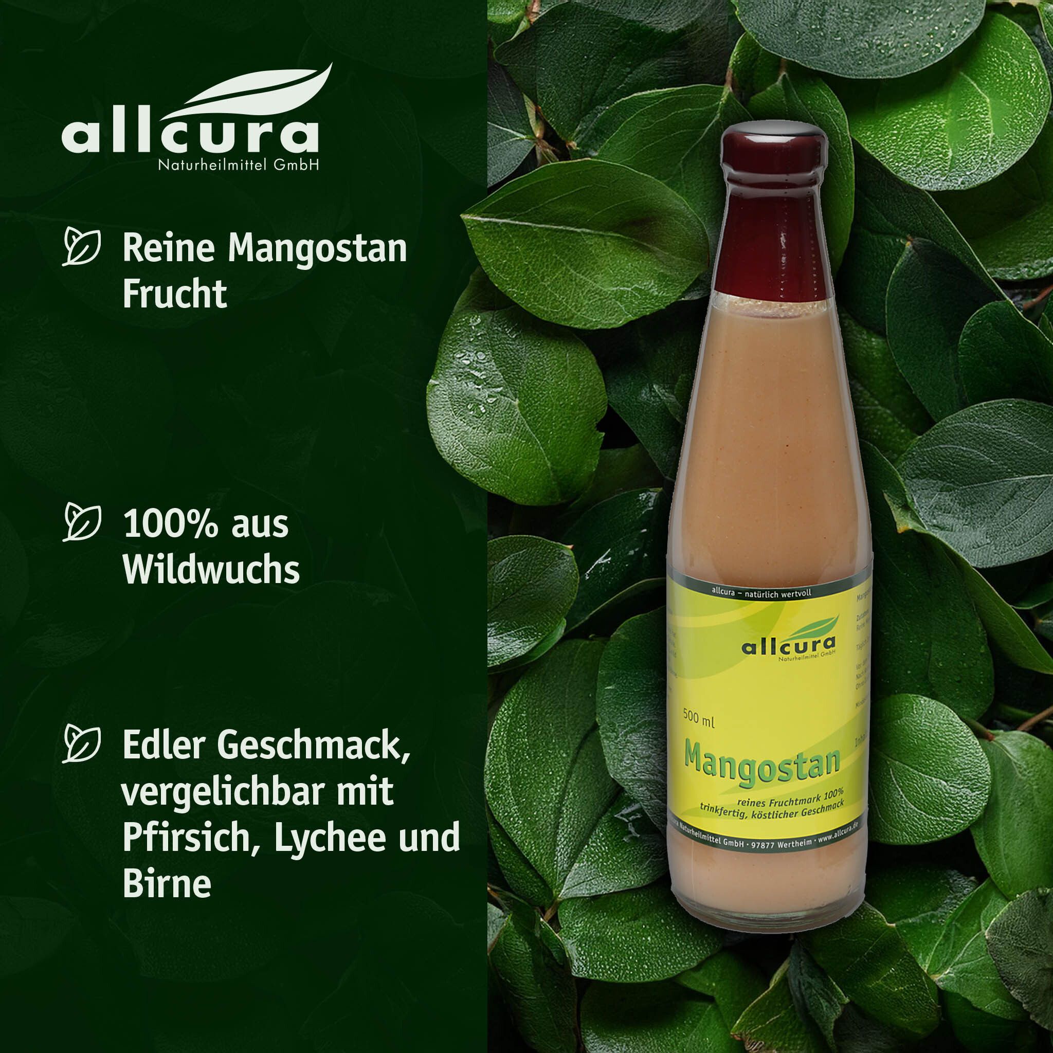 Braune Glasflasche mit braunem Saft. Auf Blättern. Text: Reine Mangostan Frucht, 100% aus Wildwuchs, Edler Geschmack.