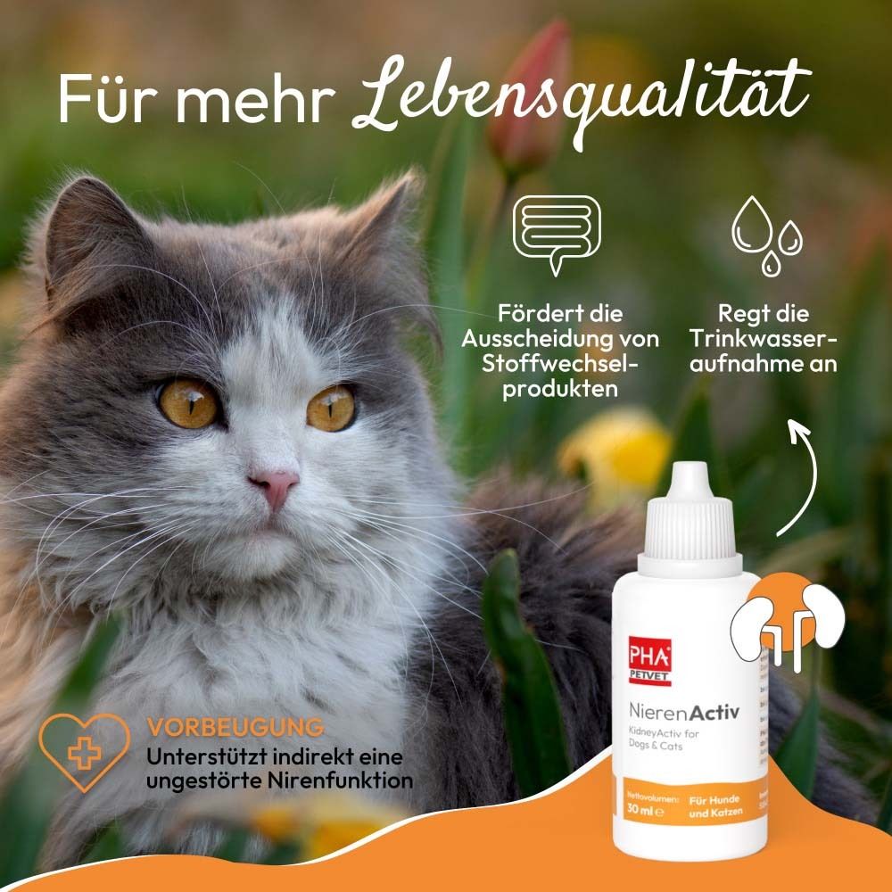 Katze im Gras neben Tropfflasche. Text: NierenActiv für Hunde und Katzen. Logo PHA PETVET. 30 ml. Für mehr Lebensqualität.