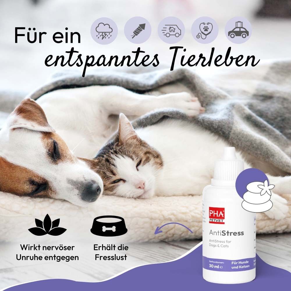 Hund und Katze schlafen friedlich. Flasche AntiStress. Logo PHA PETVET. Für Hunde und Katzen. 30 ml.