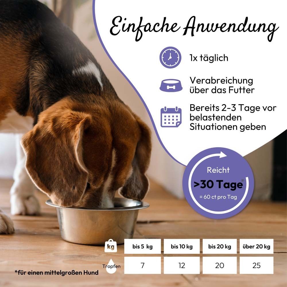 Hund frisst aus Napf. Tabelle mit Dosierung. Text: AntiStress. Für Hunde und Katzen.