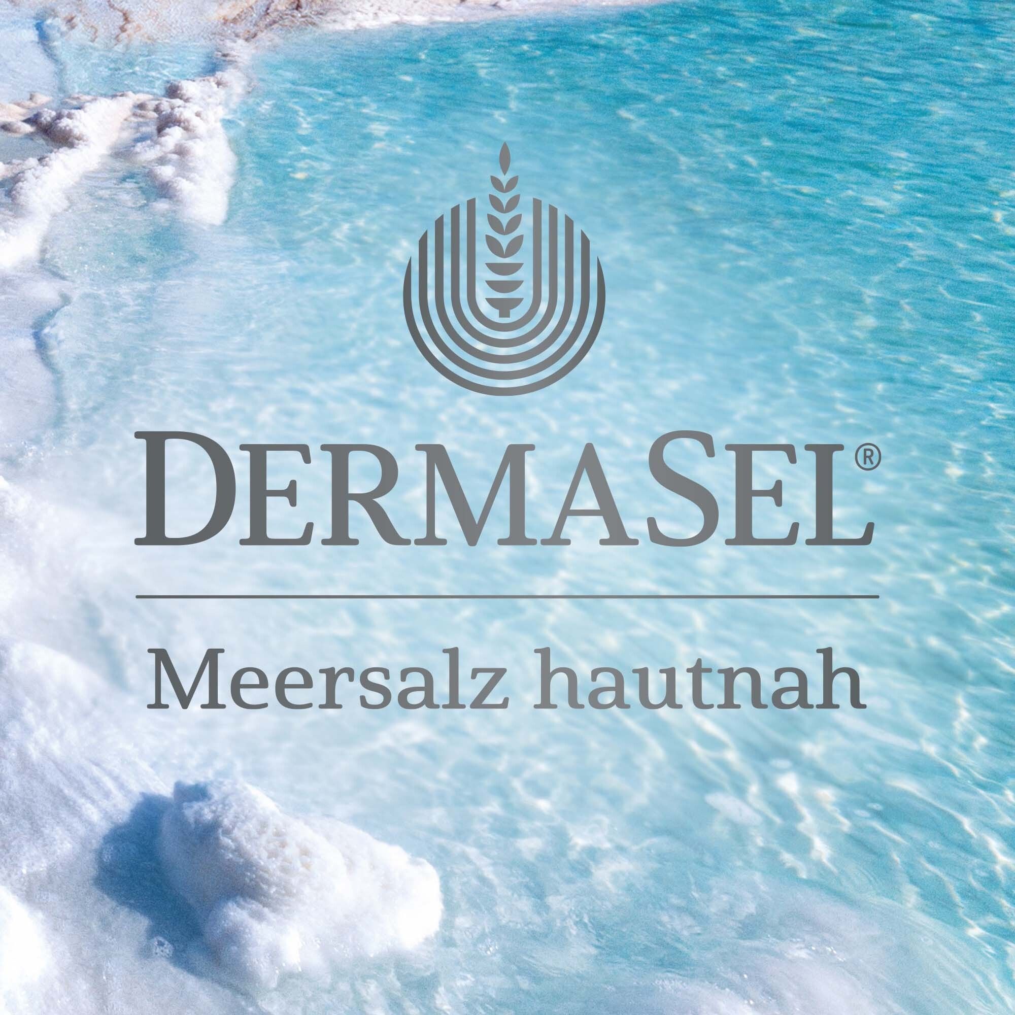 Drei Duschgel-Tuben: Canada Cool, Florida Beach, Viva Mexico. Limited Edition. DermaSel.