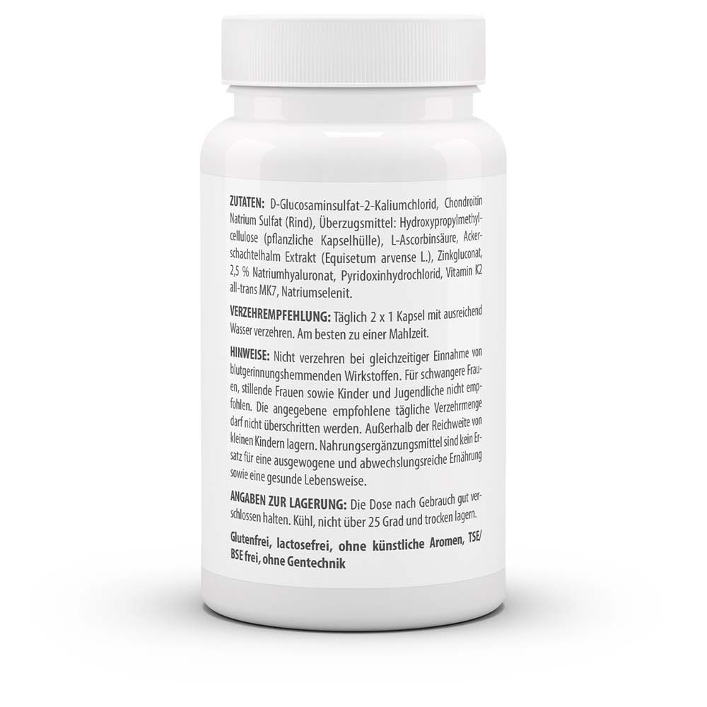 Hyaluronsäure Gelenk 60