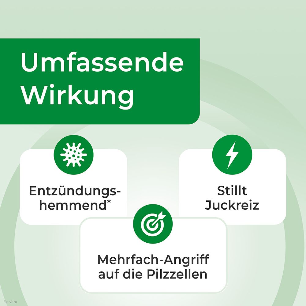 Selergo: Umfassende Wirkung gegen Pilzinfektionen. Symbole für entzündungshemmend, stillt Juckreiz, Angriff auf Pilzzellen.