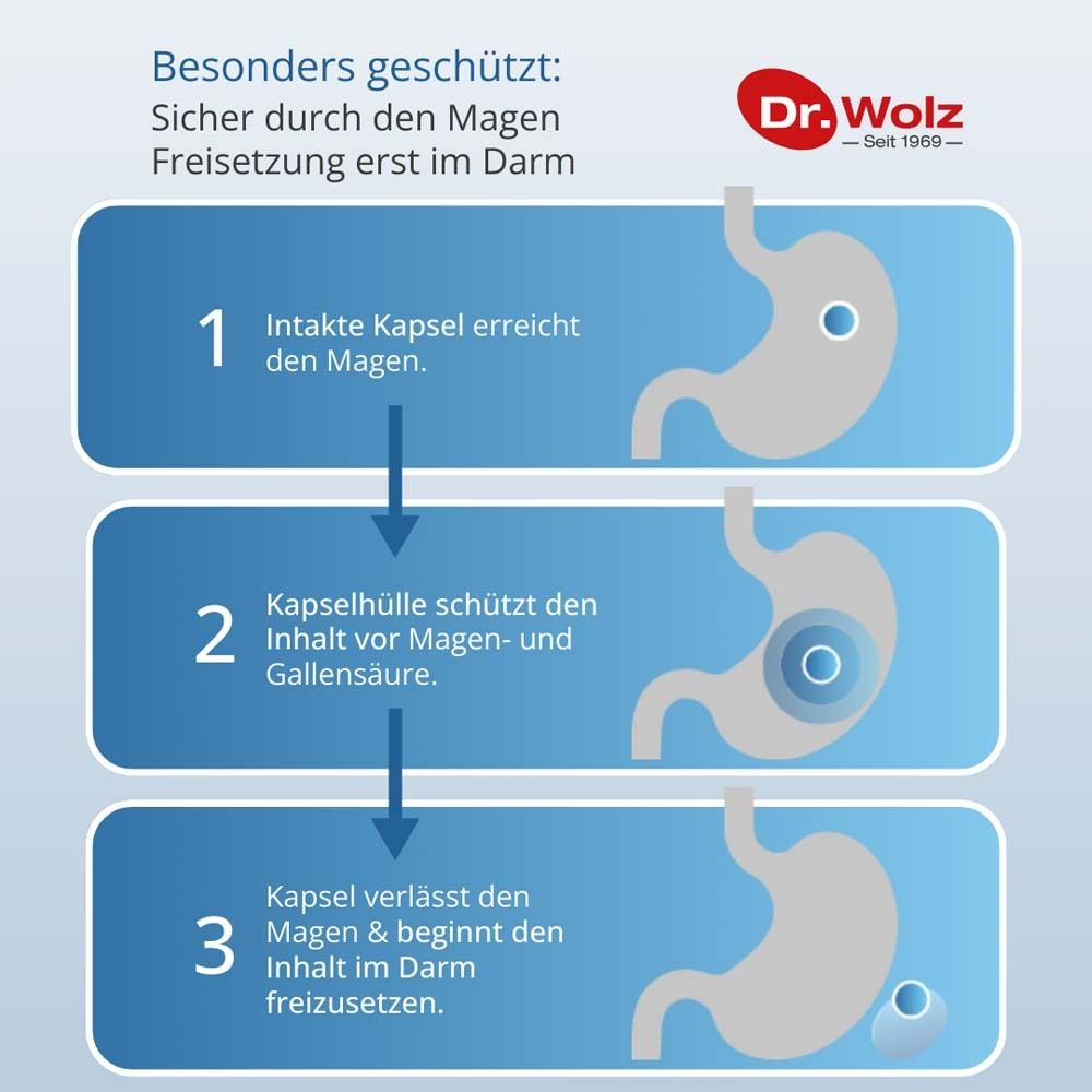 Diagramm zeigt die Freisetzung von Kapseln im Verdauungstrakt. 3 Schritte: Magen, Kapselhülle, Darm.