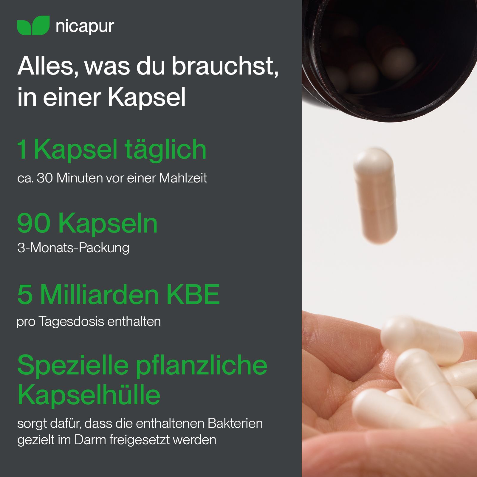 Flasche NicaLact cura 90, 3-Monats-Packung mit 90 Kapseln. Enthält 5 Milliarden KBE pro Tagesdosis. Spezielle pflanzliche Kapselhülle.