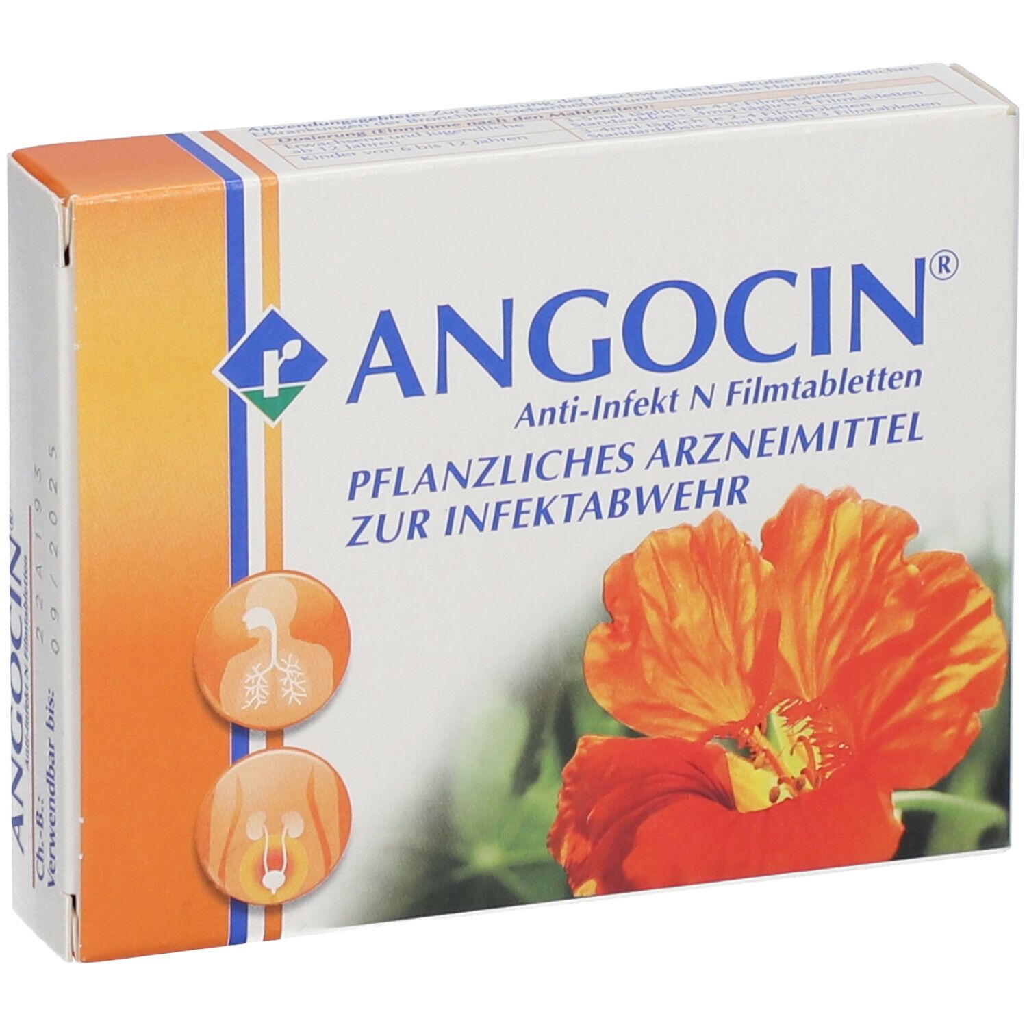 ANGOCIN® Anti-Infekt N