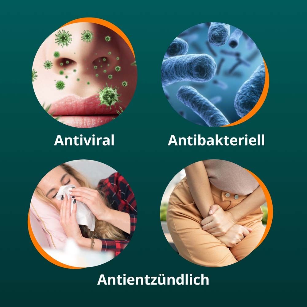 Grafik mit Kreisen: Antiviral, Antibakteriell, Entzündungshemmend. Bilder von Viren, Bakterien und Symptomen.