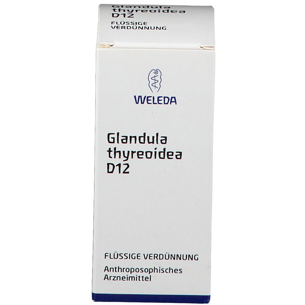 Glandula Thyreoidea D12