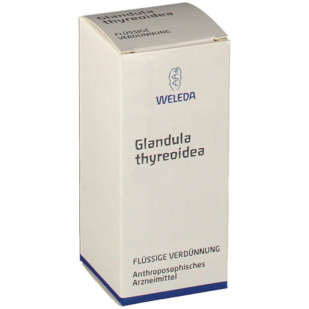 Glandula thyreoidea D30