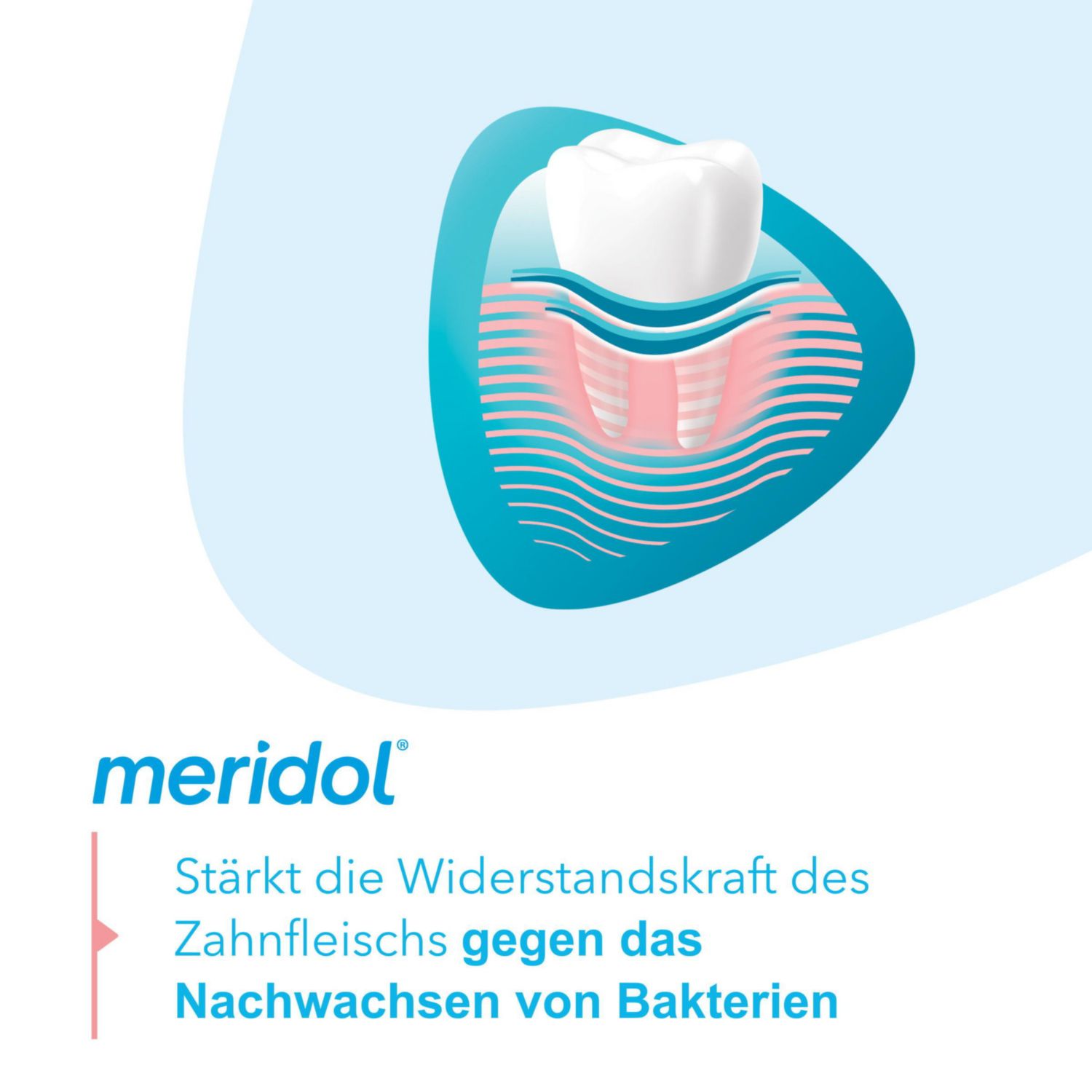 meridol Zahnfleischschutz Zahnpasta Reisegröße