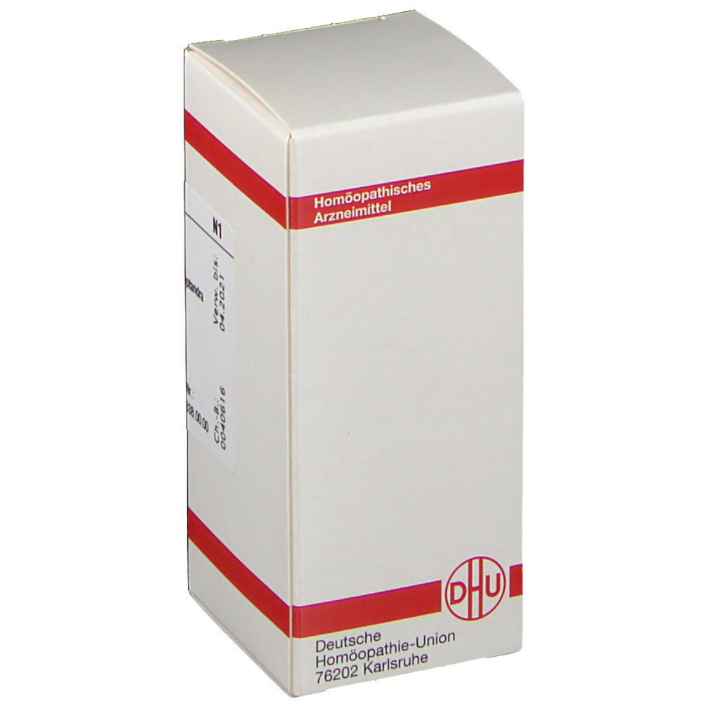 Weiße Schachtel mit rotem Streifen. Aufschrift: Homöopathisches Arzneimittel. DHU-Logo.