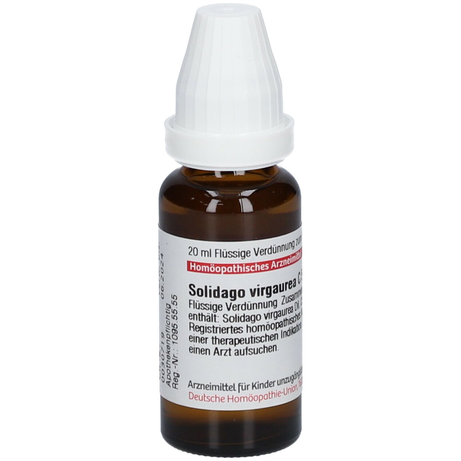 DHU Solidago Virgaurea C5