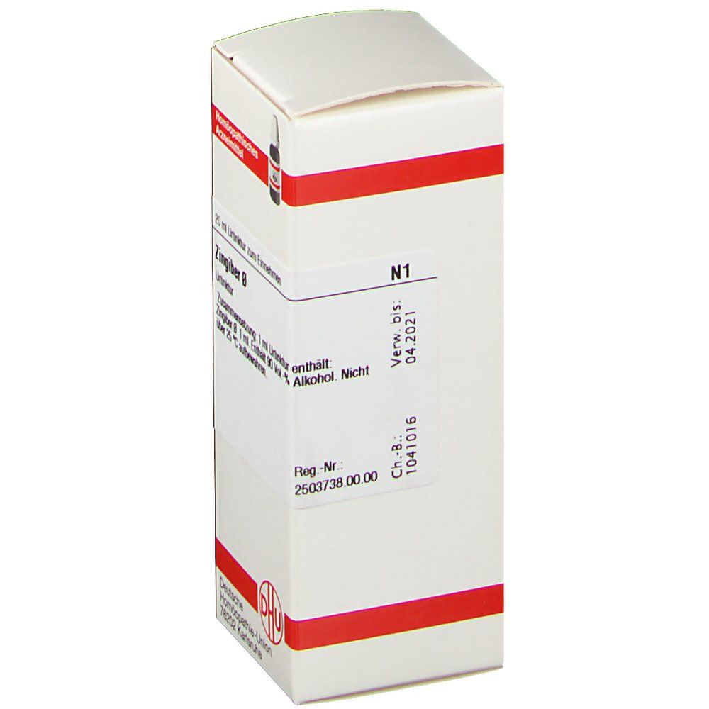 Zingiber Urtinktur 20 ml Dilution