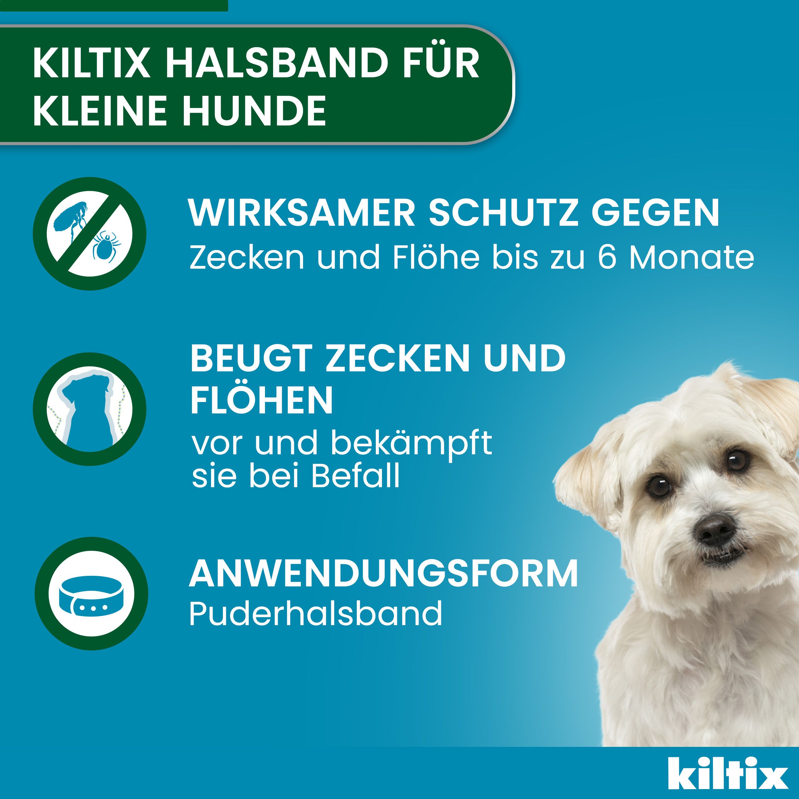 Blauer Hintergrund mit Text und Hund. Text: kiltix Halsband für kleine Hunde. Wirksamer Schutz gegen Zecken und Flöhe bis zu 6 Monate.